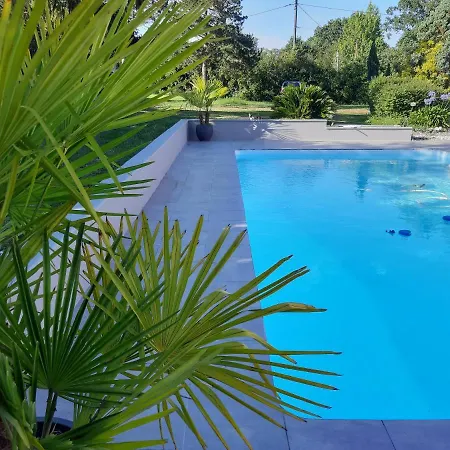 L'ecureuil*** Mouscardes