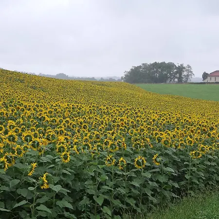 L'ecureuil*** 度假居 *